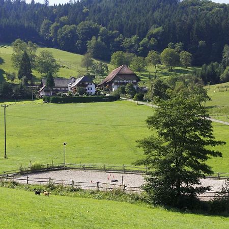 Kempfenhof Seelbach  Esterno foto