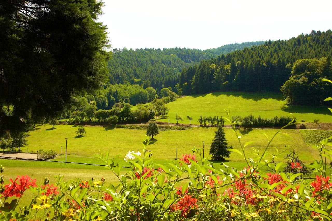 Kempfenhof Seelbach  Esterno foto