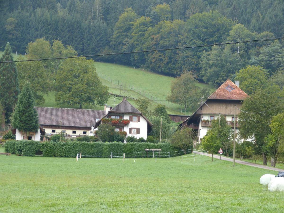 Kempfenhof Seelbach  Esterno foto